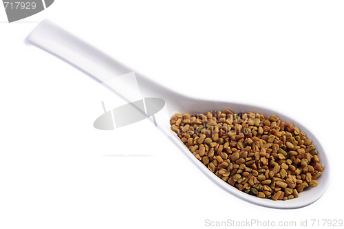 Image of Fenugreek seeds