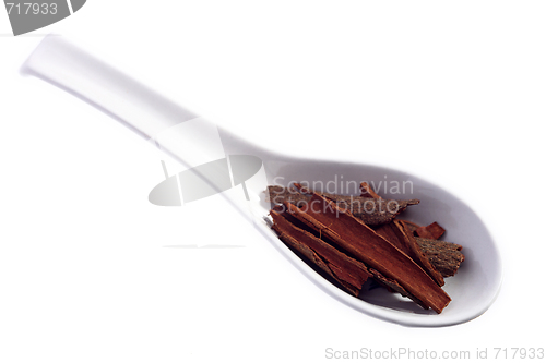 Image of Cassia on a spoon