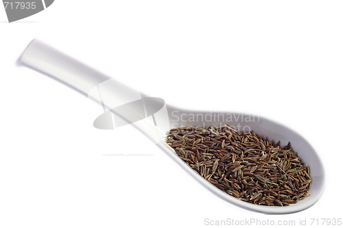 Image of Cumin seeds on a spoon