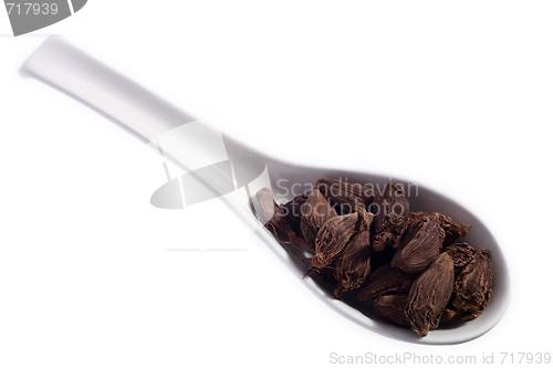 Image of Black cardamom on a spoon