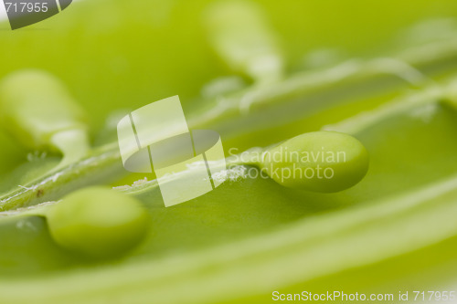 Image of fresh peas on white background