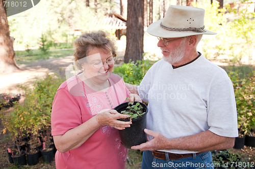 Image of Attractive Senior Couple Overlooking Potted Plants
