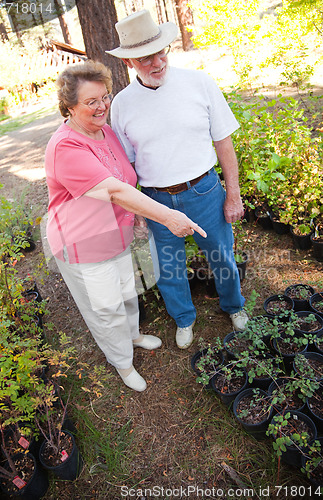 Image of Attractive Senior Couple Overlooking Potted Plants