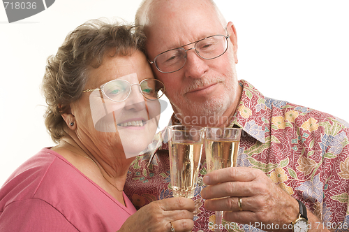 Image of Happy Senior Couple Toasting