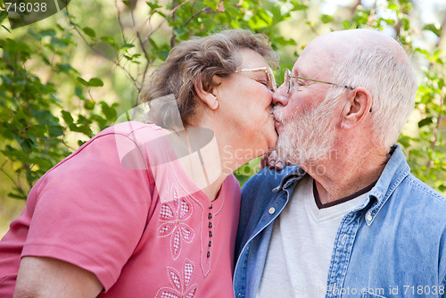 Image of Loving Senior Couple Outdoors