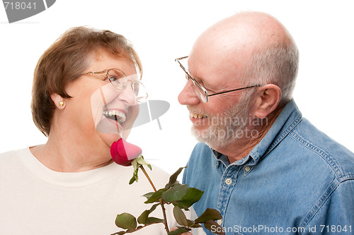 Image of Happy Senior Couple with Red Rose