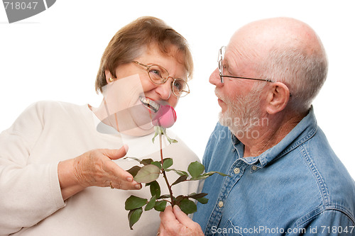 Image of Happy Senior Couple with Red Rose