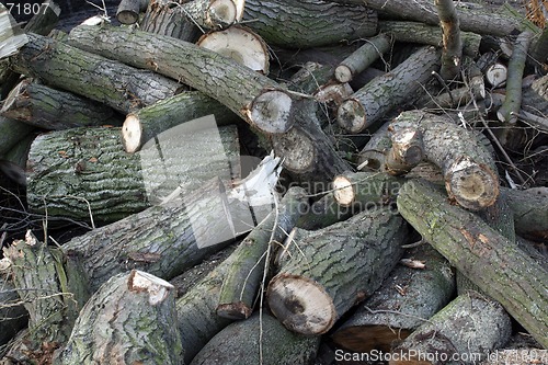 Image of Pile of logs