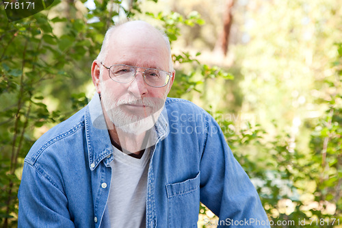 Image of Handsome Senior Man Portrait