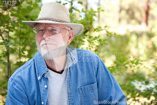Image of Handsome Senior Man Portrait