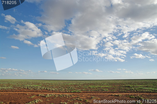 Image of desert after rain