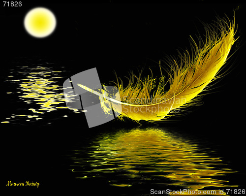 Image of moonlight feather