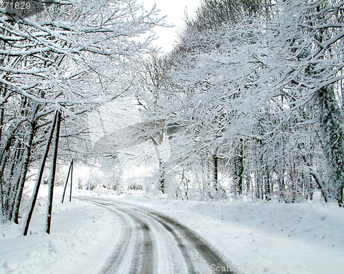 Image of forest road in winter