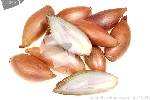 Image of Shallot onions