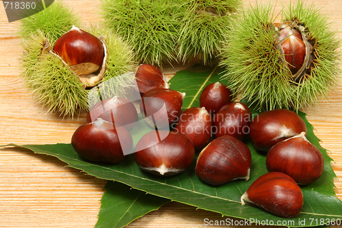 Image of Chestnuts.