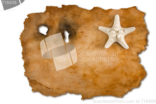 Image of Blank Map With Starfish