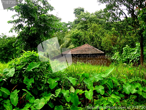 Image of Lonely village hut