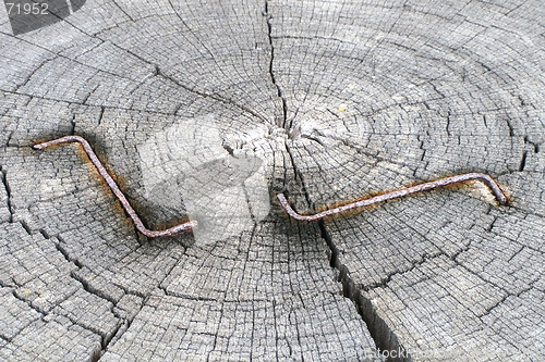 Image of  wood