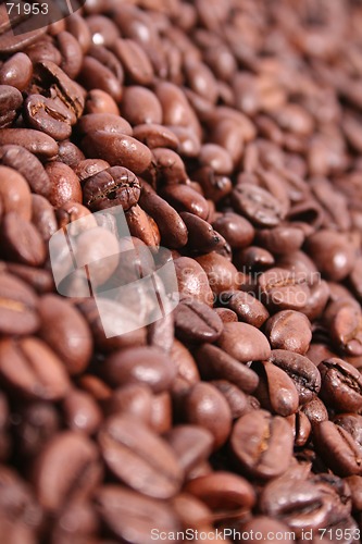 Image of Coffee Beans