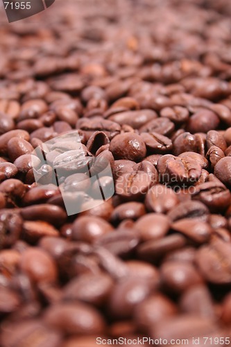 Image of Coffee Beans