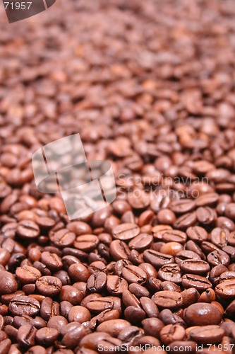 Image of Coffee Beans