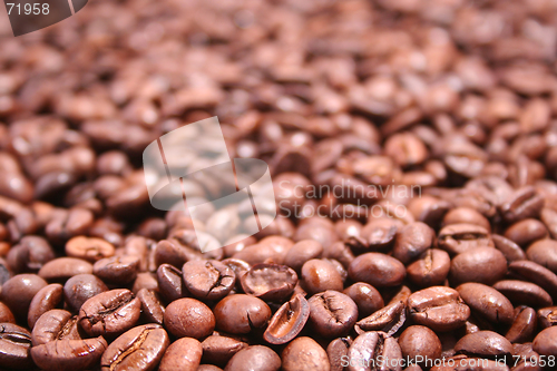 Image of Coffee Beans