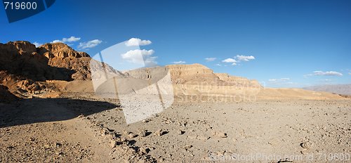 Image of Desert landscape 