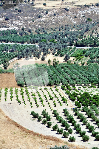 Image of Agriculture in Crete, Greece.