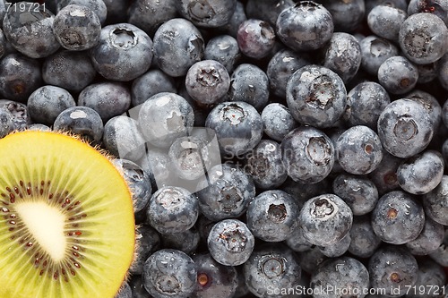 Image of Macro Kiwi and Blueberries