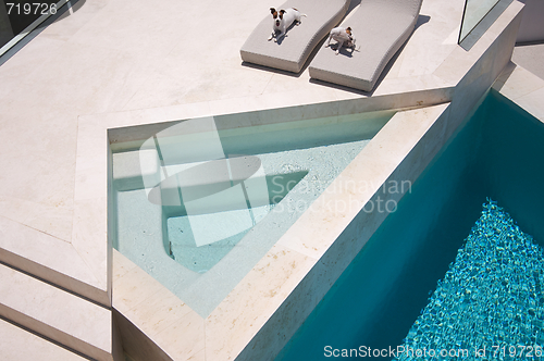 Image of JRTs Enjoying Custom Luxury Pool