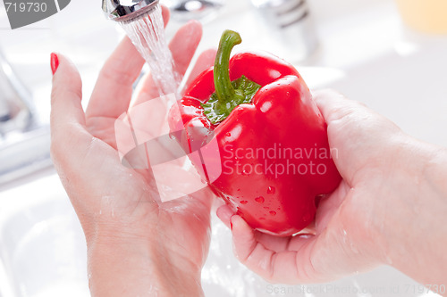 Image of Woman Washing Red Bell Pepper