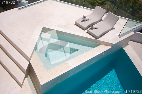 Image of JRTs Enjoying Custom Luxury Pool