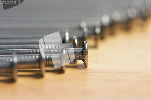 Image of Macro of Nails on Wood