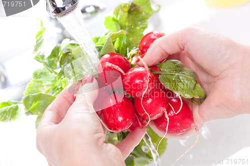 Image of Woman Washing Radish