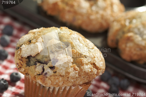 Image of Fresh Blueberry Muffins