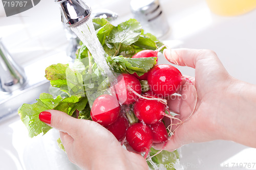 Image of Woman Washing Radish