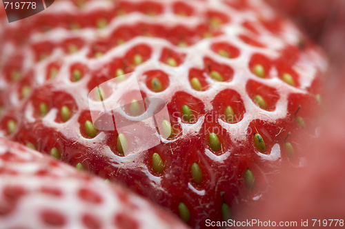 Image of Macro of Strawberry