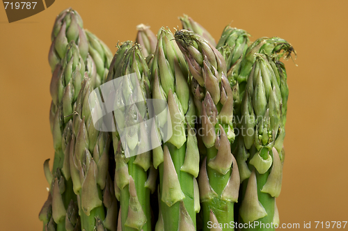Image of Fresh Organic Asperagus