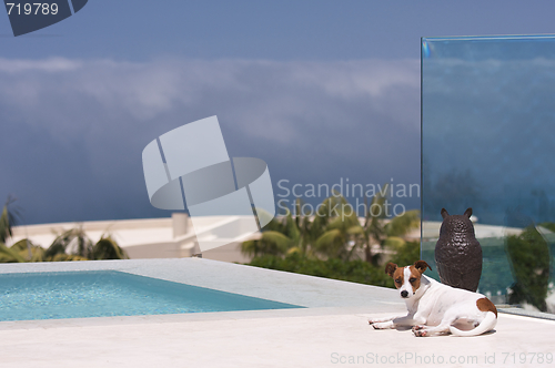 Image of Storm Watch from Poolside
