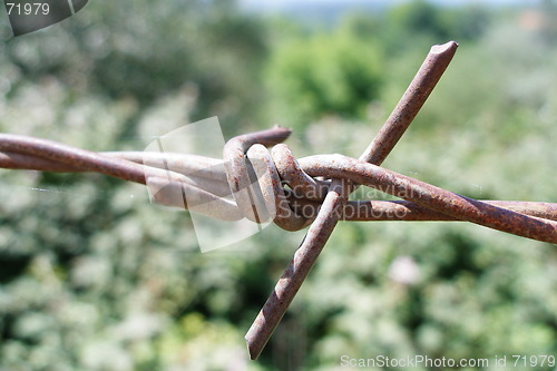 Image of barbed wire