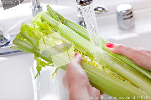 Image of Woman Washing Celery