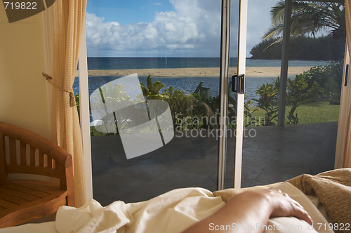 Image of Tropical View from Bed