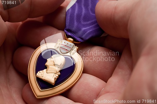 Image of Man Holding Purple Heart War Medal
