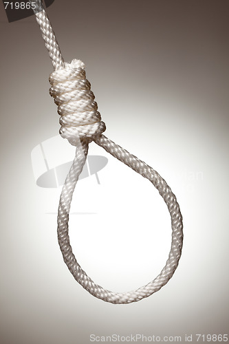 Image of Hangman's Noose