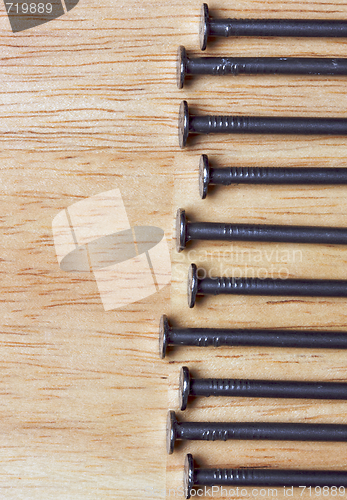 Image of Macro of Nails on Wood