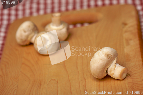Image of Mushrooms on Cutting Board