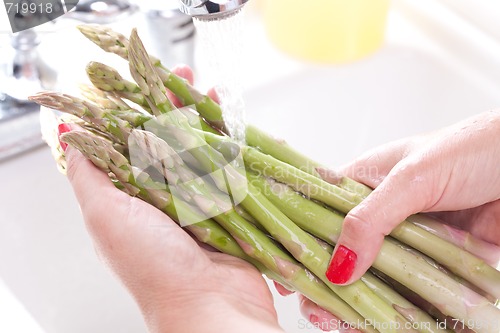 Image of Woman Washing Asparagus