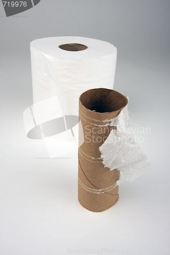 Image of Empty and Full Toilette Paper Rolls