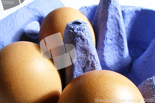 Image of egg