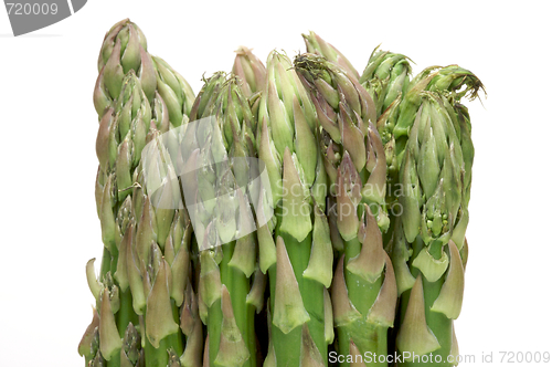 Image of Fresh Organic Asperagus